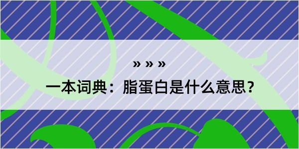 一本词典：脂蛋白是什么意思？