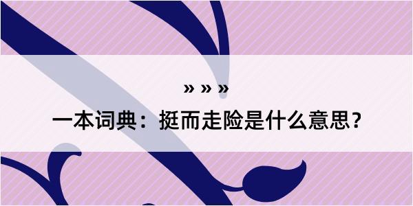 一本词典：挺而走险是什么意思？