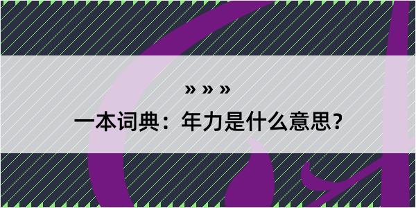 一本词典：年力是什么意思？