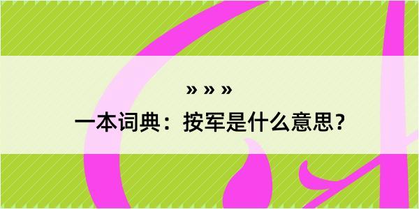 一本词典：按军是什么意思？