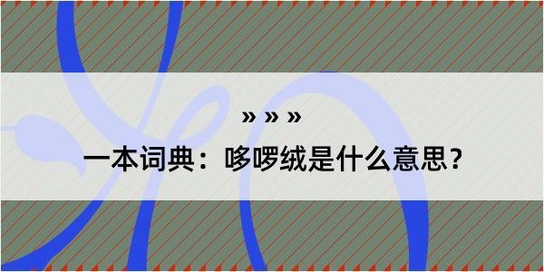 一本词典：哆啰绒是什么意思？