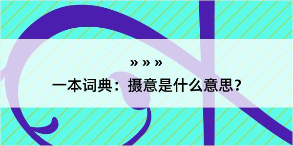 一本词典：摄意是什么意思？