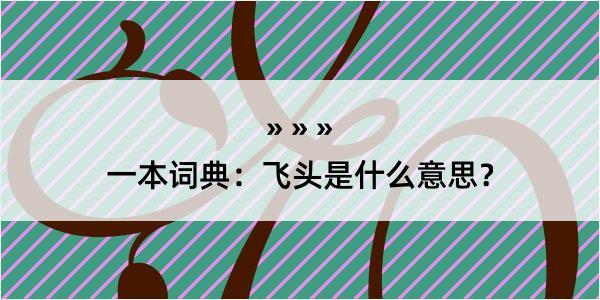 一本词典：飞头是什么意思？