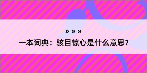 一本词典：骇目惊心是什么意思？