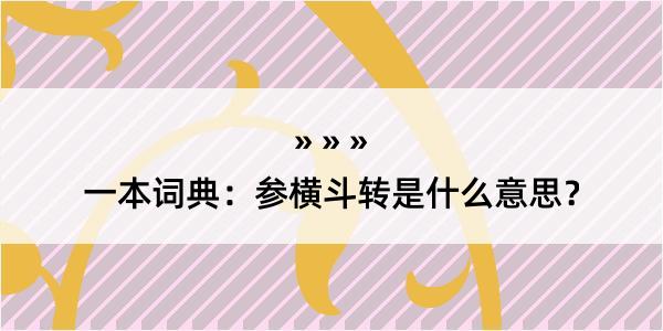 一本词典：参横斗转是什么意思？