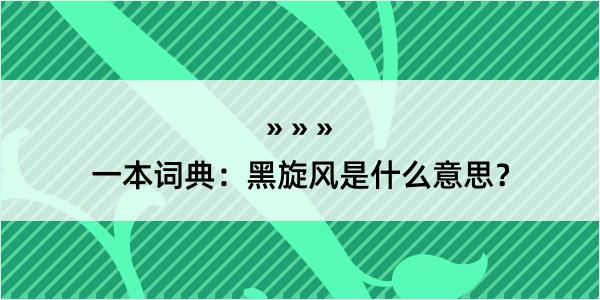 一本词典：黑旋风是什么意思？