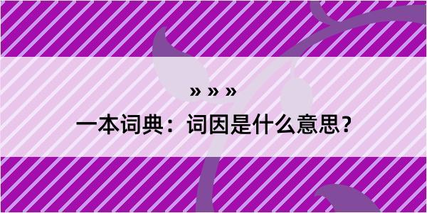 一本词典：词因是什么意思？