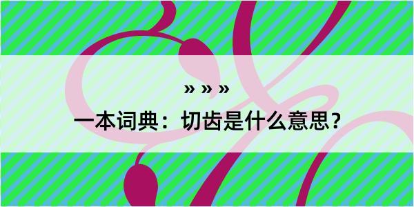 一本词典：切齿是什么意思？