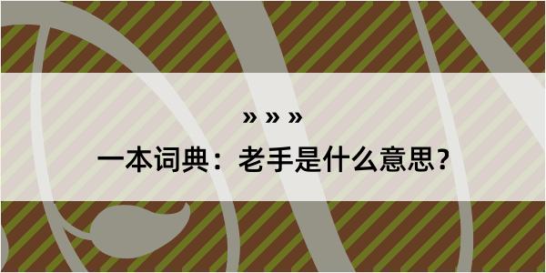 一本词典：老手是什么意思？