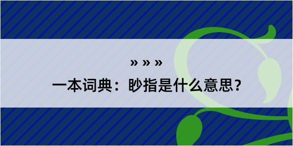 一本词典：眇指是什么意思？