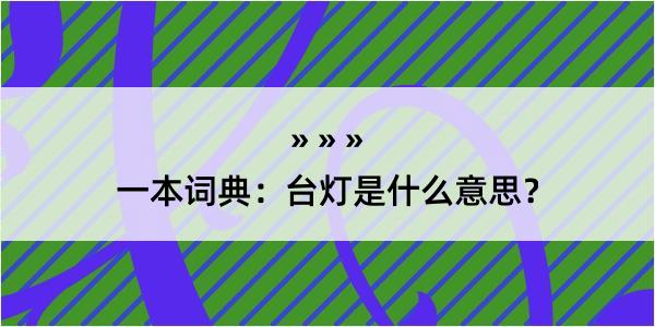 一本词典：台灯是什么意思？