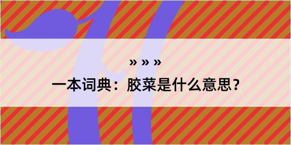 一本词典：胶菜是什么意思？