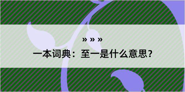 一本词典：至一是什么意思？