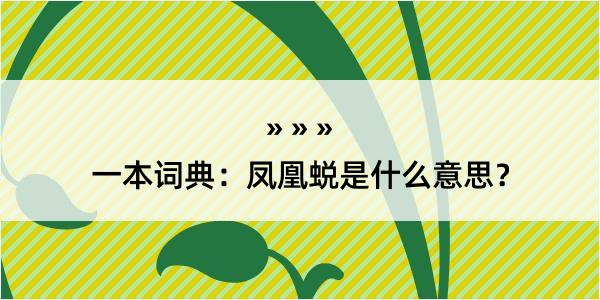 一本词典：凤凰蜕是什么意思？