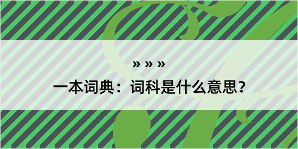 一本词典：词科是什么意思？