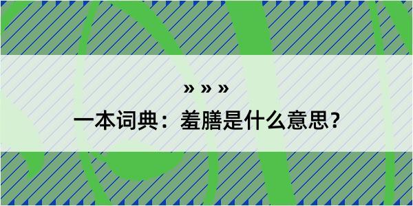 一本词典：羞膳是什么意思？