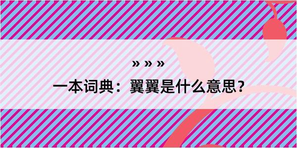 一本词典：翼翼是什么意思？