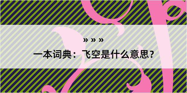 一本词典：飞空是什么意思？