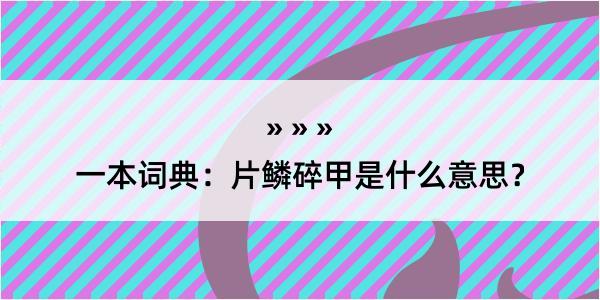 一本词典：片鳞碎甲是什么意思？