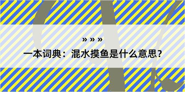 一本词典：混水摸鱼是什么意思？