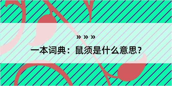 一本词典：鼠须是什么意思？