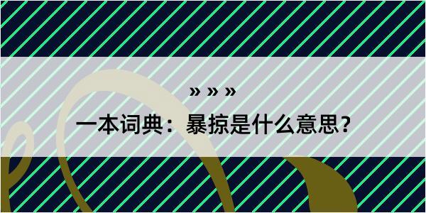 一本词典：暴掠是什么意思？