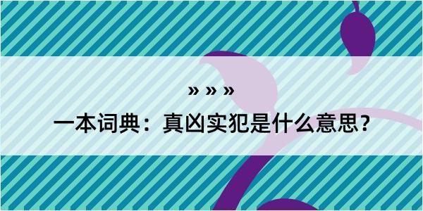 一本词典：真凶实犯是什么意思？