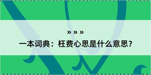 一本词典：枉费心思是什么意思？