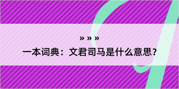 一本词典：文君司马是什么意思？