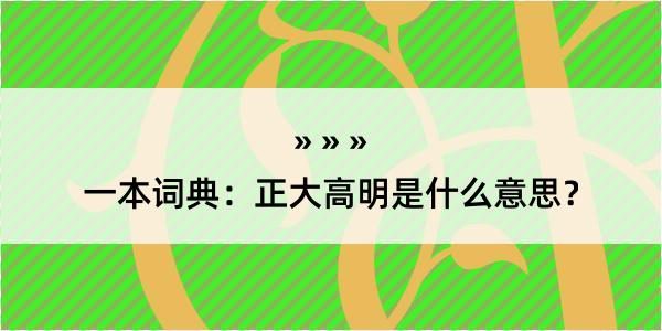 一本词典：正大高明是什么意思？