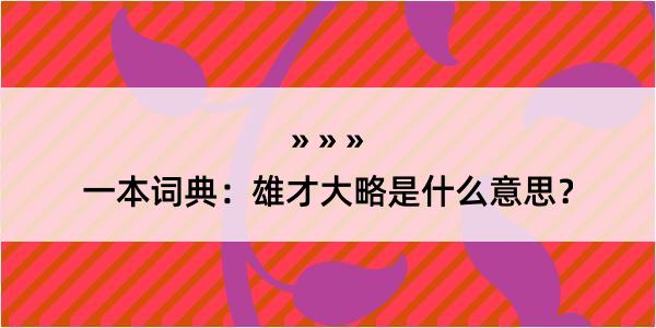 一本词典：雄才大略是什么意思？