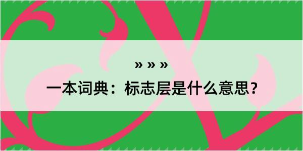 一本词典：标志层是什么意思？