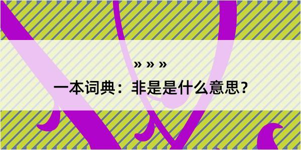 一本词典：非是是什么意思？