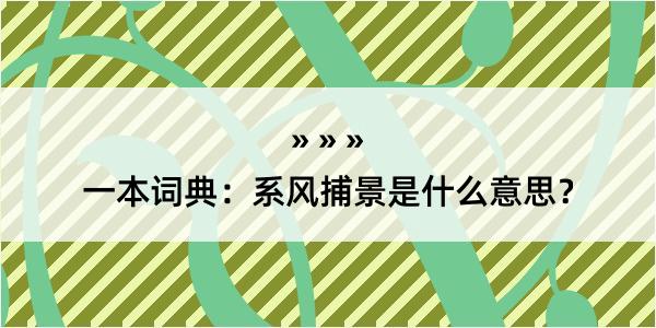 一本词典：系风捕景是什么意思？