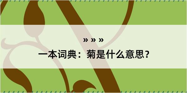 一本词典：菊是什么意思？