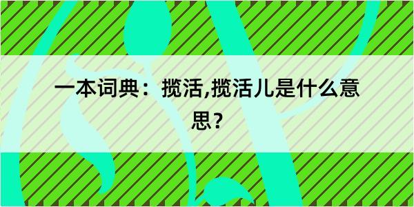 一本词典：揽活,揽活儿是什么意思？