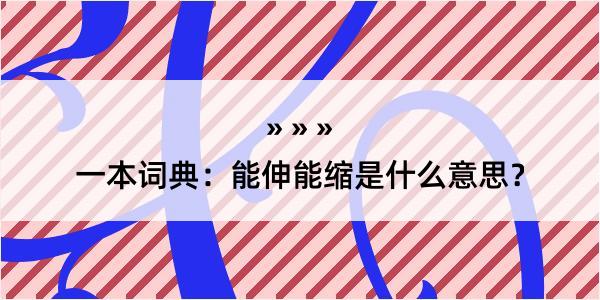 一本词典：能伸能缩是什么意思？