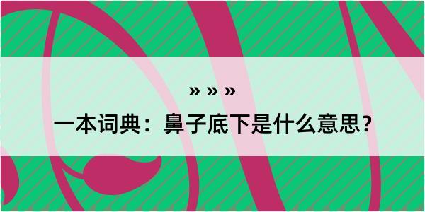 一本词典：鼻子底下是什么意思？