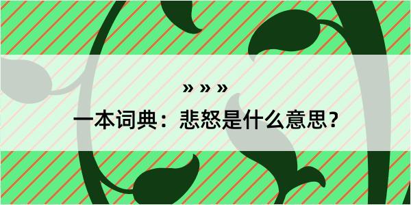 一本词典：悲怒是什么意思？