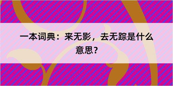 一本词典：来无影，去无踪是什么意思？