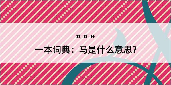 一本词典：马是什么意思？