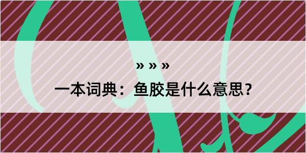 一本词典：鱼胶是什么意思？