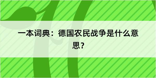 一本词典：德国农民战争是什么意思？