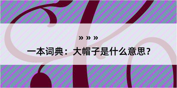 一本词典：大帽子是什么意思？