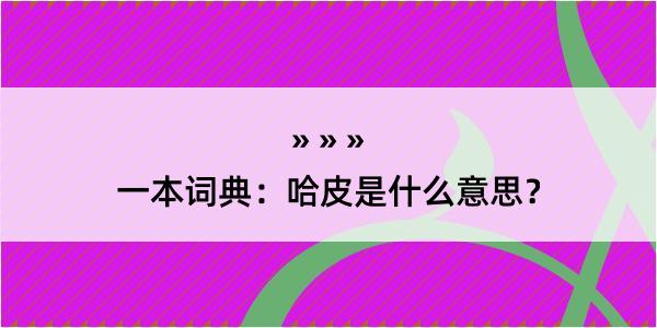 一本词典：哈皮是什么意思？