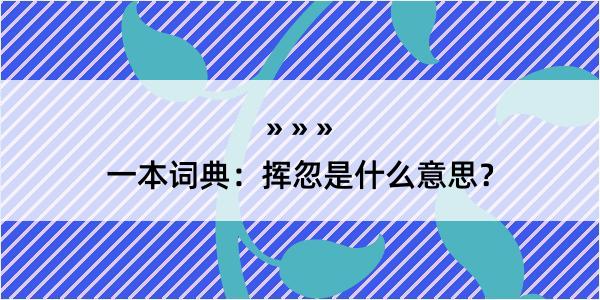 一本词典：挥忽是什么意思？