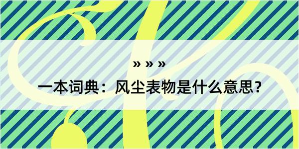 一本词典：风尘表物是什么意思？