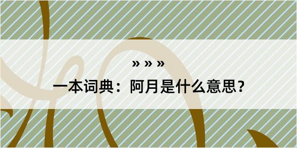 一本词典：阿月是什么意思？