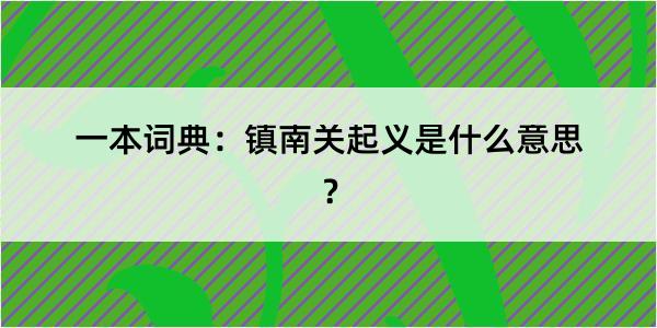 一本词典：镇南关起义是什么意思？