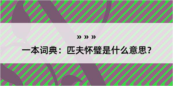 一本词典：匹夫怀璧是什么意思？